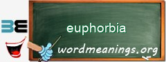 WordMeaning blackboard for euphorbia